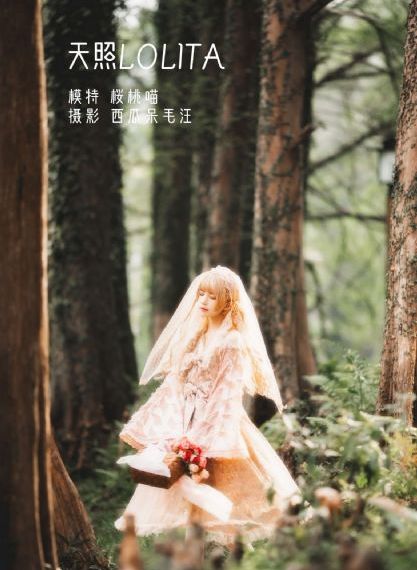 中文字幕 欧美 在线_蓝光DVD免费在线观看播放