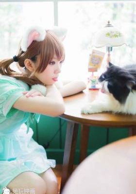 野花高清在线视频免费观看_理论片免费观看电视剧