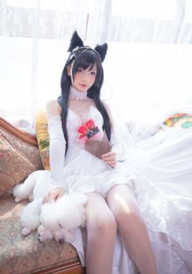 成人a午夜视频全集在线观看_免费影院普通话在线观看